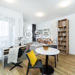 Rent 1 bedroom apartment of 27 m² in Prague