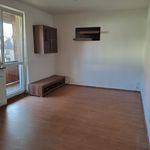 Rent 4 bedroom apartment in Sokolov