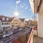 Rent 3 bedroom apartment of 80 m² in Allschwil