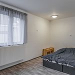 Rent 1 bedroom apartment of 16 m² in Záryby