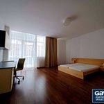 Rent 2 bedroom apartment of 125 m² in Ostrava