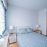 Rent 1 bedroom apartment of 40 m² in Madrid