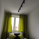 Rent 2 bedroom apartment of 36 m² in Katowice