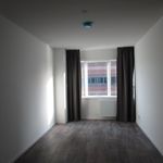 Huur 1 slaapkamer appartement van 45 m² in Maarssen