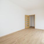 Rent 4 bedroom apartment of 102 m² in Sokolov