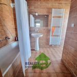 Rent 1 bedroom apartment in Rudolfov