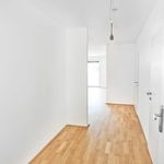 Rent 2 bedroom apartment of 47 m² in Stockerau