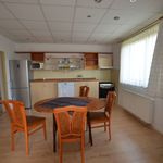 Rent 1 bedroom house of 750 m² in Číhošť