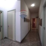 Rent 5 bedroom apartment of 115 m² in Catania