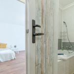 Rent 1 bedroom apartment of 27 m² in Hradec Kralove