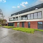 Appartement de 99 m² avec 1 chambre(s) en location à Hasselt
