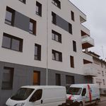 Appartement de 45 m² avec 2 chambre(s) en location à Bischheim