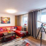 Rent 2 bedroom apartment of 55 m² in Straubing