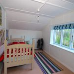 Rent 4 bedroom house in Dunedin