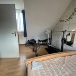 Rent 2 bedroom apartment of 120 m² in Schijndel