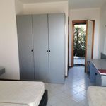 Affitto 1 camera appartamento in Montepaone