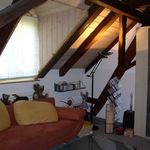 Rent 1 bedroom apartment of 75 m² in Schaffhausen