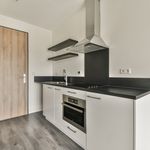 Rent 1 bedroom apartment of 23 m² in 's-Gravenhage