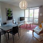 Rent 4 bedroom apartment of 83 m² in Pau