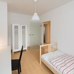 Rent 3 bedroom student apartment of 10 m² in München