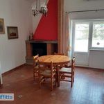 Rent 5 bedroom apartment of 120 m² in Grottaferrata