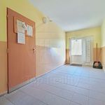 Rent 2 bedroom apartment of 56 m² in Habartov