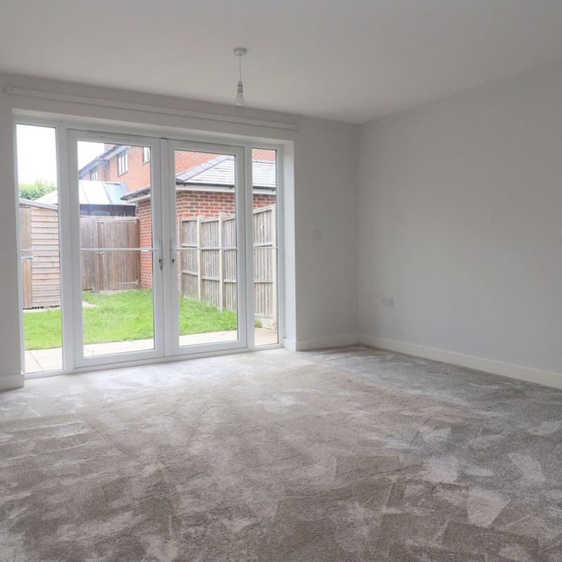 3 room house to let in Southampton Ashurst