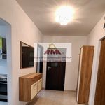 Rent 2 bedroom apartment of 55 m² in Lublin