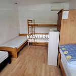 Rent 4 bedroom apartment of 120 m² in Debrecen