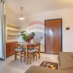 Affitto 1 camera appartamento di 46 m² in Roma