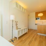 Rent 1 bedroom apartment of 40 m² in Oeiras