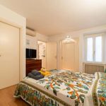 Rent 1 bedroom apartment in Abbiategrasso