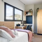 Rent 1 bedroom apartment in Pamplona