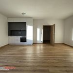 Rent 1 bedroom apartment of 40 m² in České Budějovice