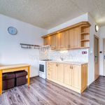 Rent 1 bedroom apartment of 36 m² in Bezdruzice