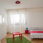 Rent a room of 104 m² in Strasbourg