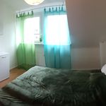 Rent 2 bedroom apartment of 40 m² in Unna