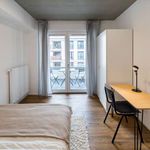 Rent a room of 45 m² in frankfurt