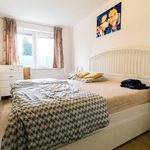 Pronajměte si 3 ložnic/e byt o rozloze 80 m² v Město Albrechtice