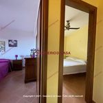 Rent 4 bedroom house of 120 m² in Altavilla Milicia