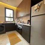 Rent 3 bedroom apartment of 76 m² in Dax