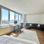 Rent 1 bedroom apartment in Douglas