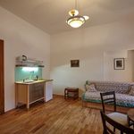 Rent 1 bedroom apartment of 46 m² in Praha