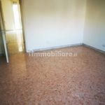 Affitto 4 camera appartamento di 127 m² in Catania