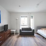 Rent 1 bedroom apartment of 30 m² in Königswinter