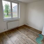 Rent 3 bedroom apartment of 67 m² in Netolice