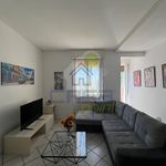 Rent 1 bedroom apartment of 65 m² in Cremona