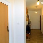 Rent 3 bedroom apartment of 96 m² in Česká Lípa