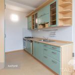 Rent 3 bedroom apartment of 72 m² in Plzeň