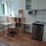 Rent 1 bedroom apartment of 16 m² in Nancy-sur-Cluses